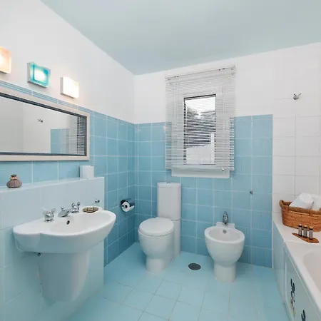 Red Queen Main * Szfakerá